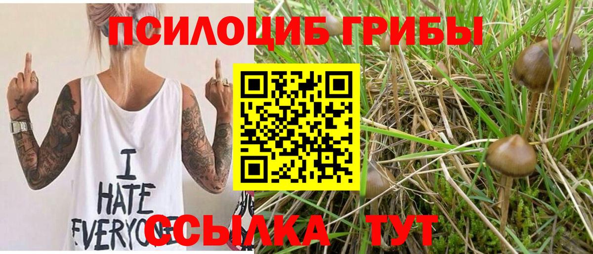 Галлюциногенные грибы мухоморы Тула