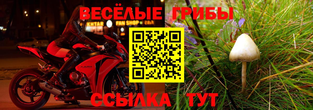 Галлюциногенные грибы GOLDEN TEACHER  Псилоцибиновые грибы Cubensis  Вход с VPN  Тула 